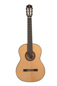Martinez Flamenco Series gitaar MFG CS, nu met koffer