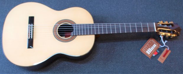 Martinez MC-88S, Solid Spruce Rosewood