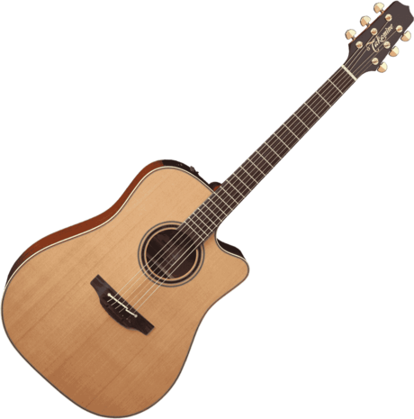 Takamine Tan10C Special Series Reissue w/CTP-3 Cooltube (B-stock)