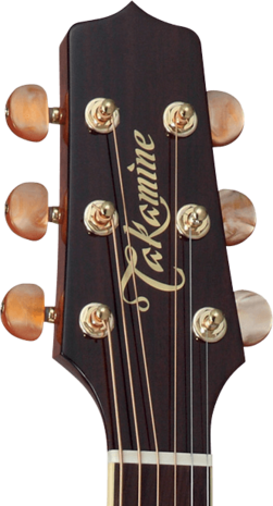 Takamine Pro Series P4DC met koffer, alvast te reserveren