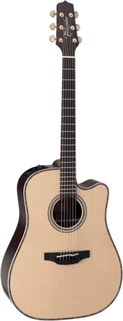 Takamine TN18C - Dreadnought Cutaway Electro