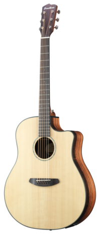 Breedlove Dreadnought Plus, Persuit Series met gigbag