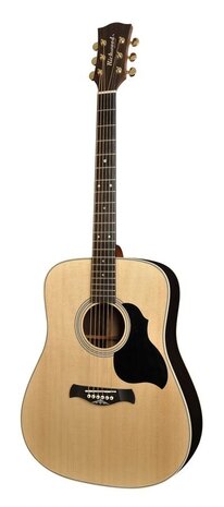 Richwood Master Series Customshop Dreadnought