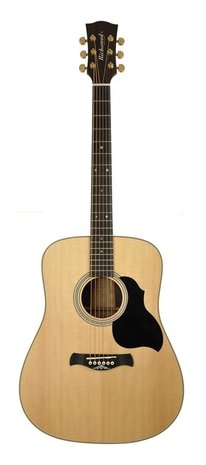 Richwood Master Series Customshop Dreadnought