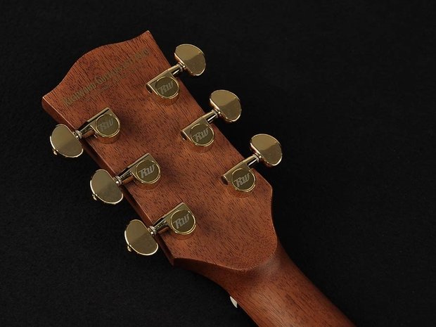 Richwood Master Series Customshop Dreadnought