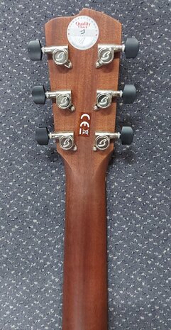 Breedlove Premier Series 21E, dreadnought met luxe koffer