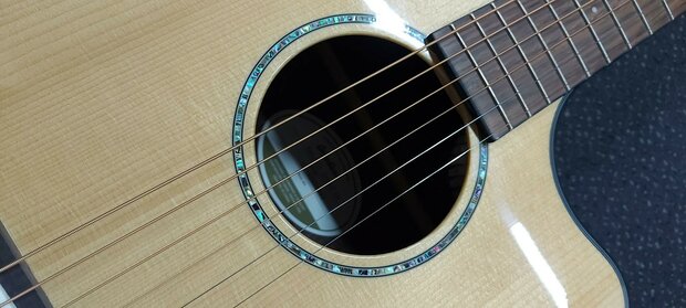 Breedlove Dreadnought Plus, Persuit Series met gigbag