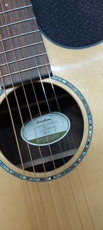Breedlove Dreadnought Plus, Persuit Series met gigbag