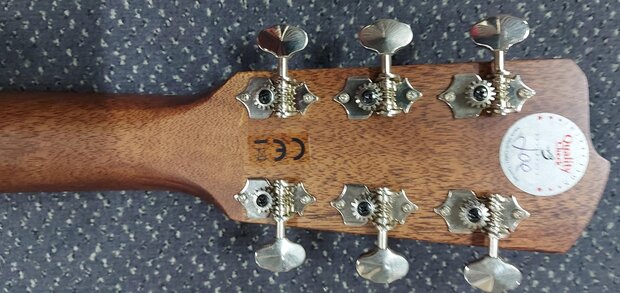 Breedlove Dreadnought Plus, Persuit Series met gigbag