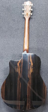Breedlove Dreadnought Plus, Persuit Series met gigbag