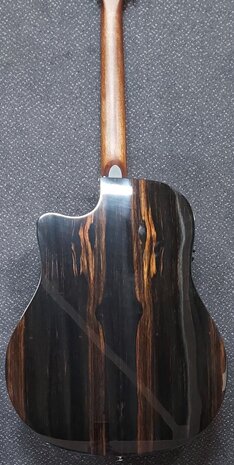 Breedlove Dreadnought Plus, Persuit Series met gigbag