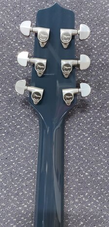 Takamine LTD-2021 Bluerose limited edition met koffer, laatste exemplaar en is op voorraad