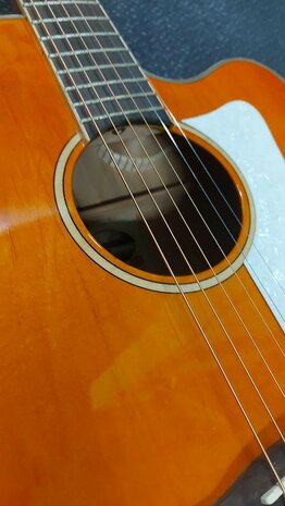 Tanglewood Super Jumbo Evolution Exotic Viscount Trans Orange nu met koffer
