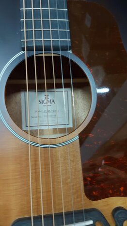 Sigma GJM SGE+ Jumbo Electro Moustache