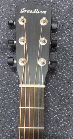 Breedlove Oregon D26E, dreadnought, inclusief luxe koffer