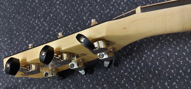 Breedlove Oregon D26E, dreadnought, inclusief luxe koffer