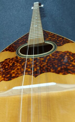 VGS Griekse bolbuik bouzouki