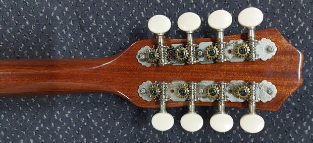 VGS Griekse bolbuik bouzouki