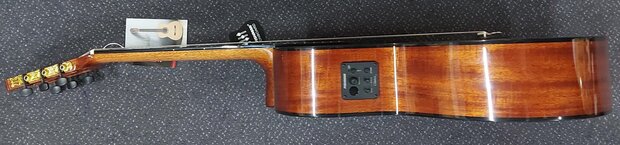 Salvador Student Series Nova CCE classic guitar cedar + sapele