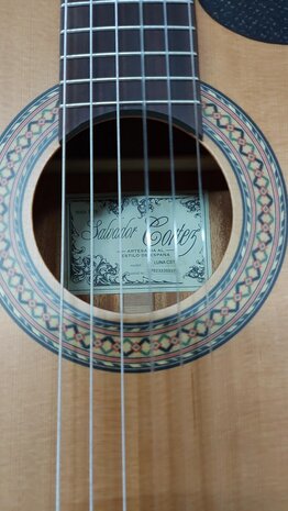 Salvador Cortez Iberia Series Luna stage guitar Fishman Clasica II