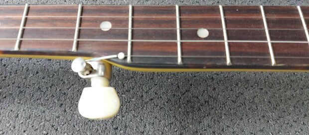 Recording King Banjo Starlight Sunbeam RKS-06-YE 5-snarig