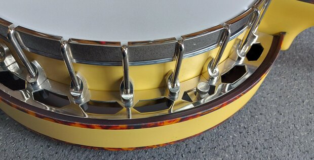 Recording King Banjo Starlight Sunbeam RKS-06-YE 5-snarig