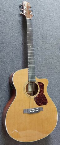 Walden Concorda CG570CE Grand Auditorium met gigbag
