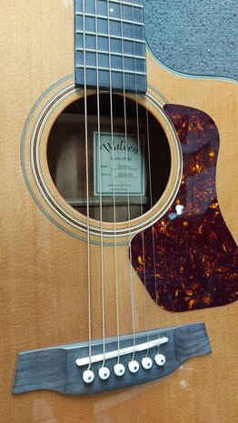 Walden Concorda CG570CE Grand Auditorium met gigbag