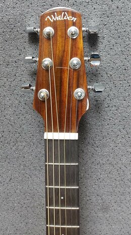 Walden Concorda CG570CE Grand Auditorium met gigbag