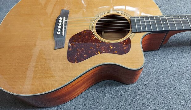 Walden Concorda CG570CE Grand Auditorium met gigbag