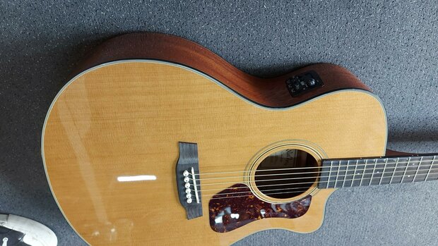 Walden Concorda CG570CE Grand Auditorium met gigbag