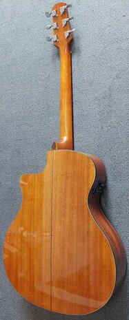 Walden Concorda CG570CE Grand Auditorium met gigbag