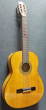 Motion WMF1005SM Flamenco, fullsize body, solid spruce top