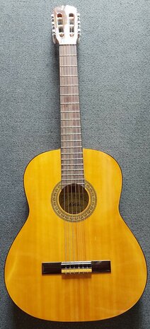Motion WMF1005SM Flamenco, fullsize body, solid spruce top