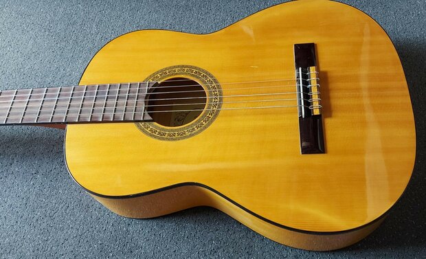 Motion WMF1005SM Flamenco, fullsize body, solid spruce top