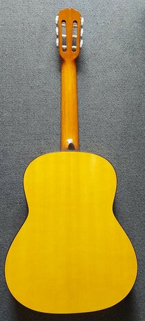 Motion WMF1005SM Flamenco, fullsize body, solid spruce top