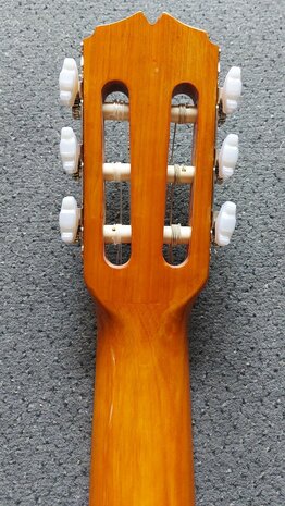 Motion WMF1005SM Flamenco, fullsize body, solid spruce top