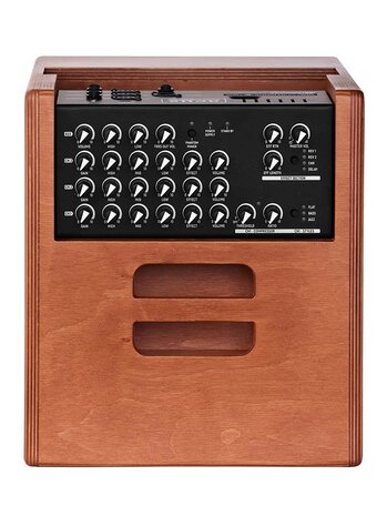 Acus One Series acoustic instruments amplifier ONE FOR STRINGS 8 FERDI