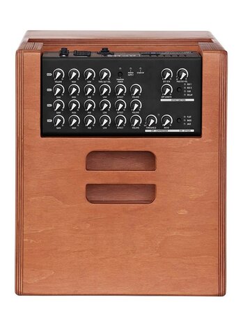 Acus One Series acoustic instruments amplifier ONE FOR STRINGS 10 FERDI