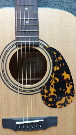 CORT Earth Open Pore startersset met div accessoires waaronder een zwarte gigbag