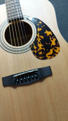 CORT Earth Open Pore startersset met div accessoires waaronder een zwarte gigbag