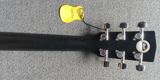 Cort Folkgitaar Earth 70, Black Satin Dreadnought met massief bovenblad