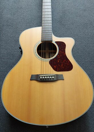 WALDEN Folkgitaar G800CE, Grand Auditorium Cut, massief, gesatineerd, EQ, electro-akoestisch met gigbag