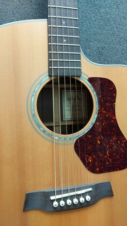 WALDEN Folkgitaar G800CE, Grand Auditorium Cut, massief, gesatineerd, EQ, electro-akoestisch met gigbag