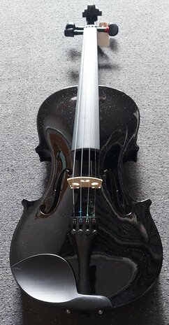 Viool 4/4 (volwassen model) compleet, zwart 