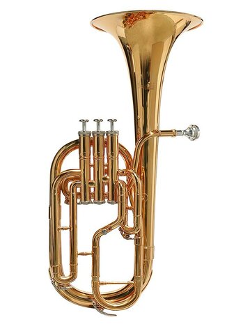 Stewart Ellis Pro Series althoorn met harde softcase