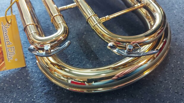 Stewart Ellis Pro Series althoorn met harde softcase