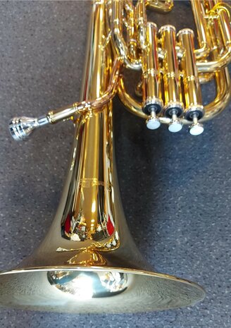 Stewart Ellis Pro Series althoorn met harde softcase