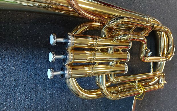 Stewart Ellis Pro Series althoorn met harde softcase