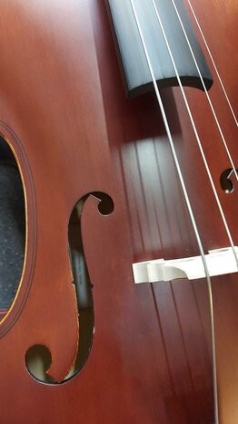 Leonardo Elementary series 1312 cello outfit 1/2 introductiekorting